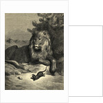 Illustration from Fontaine's The Lion and the Rat by Anonymous