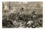 Capturing Fort Donelson by Anonymous