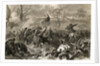 Capturing Fort Donelson by Anonymous