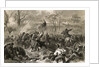 Capturing Fort Donelson by Anonymous
