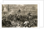 Capturing Fort Donelson by Anonymous