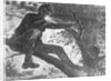 Man Aiming Rifle from a Tree by Anonymous