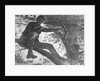 Man Aiming Rifle from a Tree by Anonymous