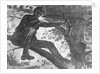 Man Aiming Rifle from a Tree by Anonymous