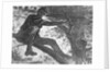 Man Aiming Rifle from a Tree by Anonymous