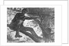 Man Aiming Rifle from a Tree by Anonymous