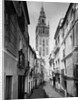 Exterior of Spain's Seville Architecture by Anonymous