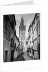 Exterior of Spain's Seville Architecture by Anonymous