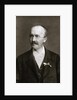 Archaeologist Heinrich Schliemann by Anonymous