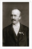 Archaeologist Heinrich Schliemann by Anonymous