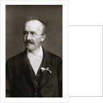 Archaeologist Heinrich Schliemann by Anonymous