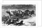 Illustration of Wolves Chasing Sleigh by Corbis