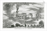 Hoard of Grasshoppers Flying Towards Train by Anonymous