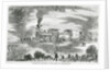 Hoard of Grasshoppers Flying Towards Train by Anonymous