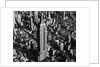Empire State Building and Surroundings by Anonymous