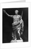 Augustus First Roman Emperor by Anonymous