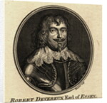 Portrait of Robert Devereux by Anonymous