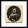 Portrait of Robert Devereux by Anonymous