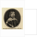 Portrait of Robert Devereux by Anonymous