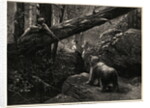 Men Bear Hunting in Rocky Mountains by Anonymous