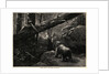 Men Bear Hunting in Rocky Mountains by Anonymous