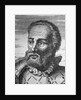 Portrait of Ferdinand Magellan by Anonymous