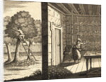 Silk Worm Cocoons Being Stored by Anonymous