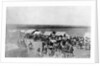Citizens Standing Near Voting Tents in Wilderness Area by Anonymous