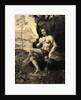 Illustrated Portrait of Bacchus by Anonymous