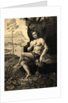 Illustrated Portrait of Bacchus by Anonymous
