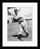 Baseball Player Bill Terry in Batting Stance by Anonymous