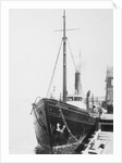 Picture of the Roosevelt by Anonymous