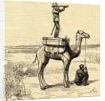 War in Sudan with an English General's Novel Lookout on Camel by Anonymous