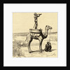 War in Sudan with an English General's Novel Lookout on Camel by Anonymous