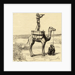War in Sudan with an English General's Novel Lookout on Camel by Anonymous