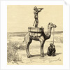 War in Sudan with an English General's Novel Lookout on Camel by Anonymous