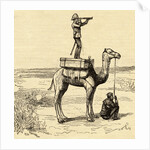War in Sudan with an English General's Novel Lookout on Camel by Anonymous