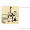 War in Sudan with an English General's Novel Lookout on Camel by Anonymous
