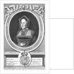 Portrait of a Wife of Henry VIII by Anonymous