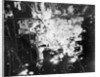 View of Devastated Land Site by Anonymous