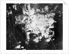 View of Devastated Land Site by Anonymous