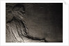 First American Woman Physician Eleizabeth Blackwell by Anonymous