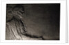 First American Woman Physician Eleizabeth Blackwell by Anonymous