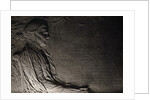 First American Woman Physician Eleizabeth Blackwell by Anonymous