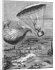 Andre Jacques Garnerin Descending by Anonymous