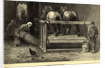 Horses on a Belgian Threshing Machine by Anonymous