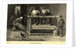 Horses on a Belgian Threshing Machine by Anonymous
