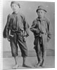 Homeless Boys in New York City by Anonymous