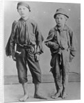 Homeless Boys in New York City by Anonymous