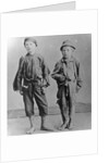 Homeless Boys in New York City by Anonymous